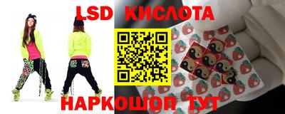 ГАЛЛЮЦИНОГЕННЫЕ ГРИБЫ Беслан