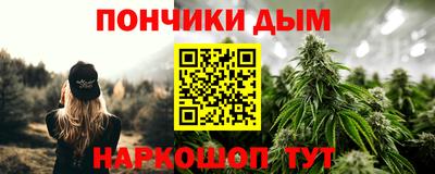 гашик Берёзовский