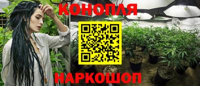 гашик Берёзовский