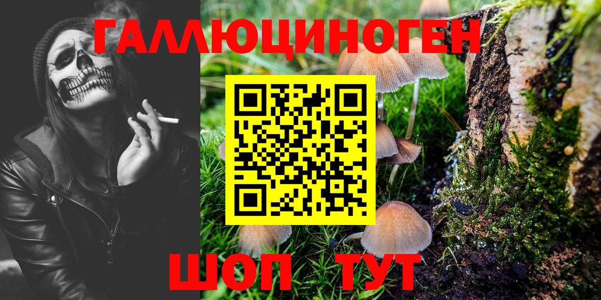 Псилоцибиновые грибы GOLDEN TEACHER Кимовск