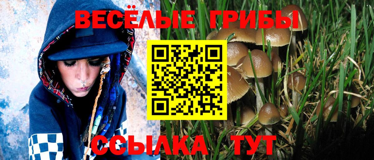 Псилоцибиновые грибы мухоморы  Вход с VPN  Кимовск 